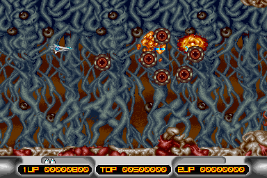 X Multiply (Japan)